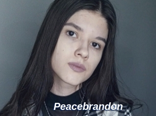 Peacebrandon