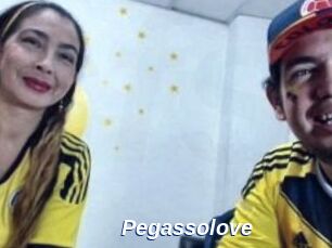 Pegasso_love