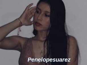Penelopesuarez