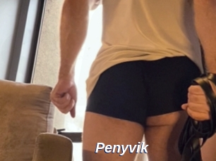 Penyvik