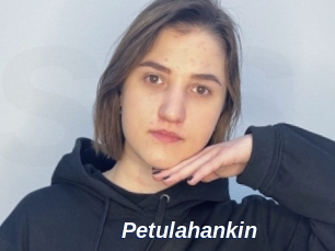 Petulahankin