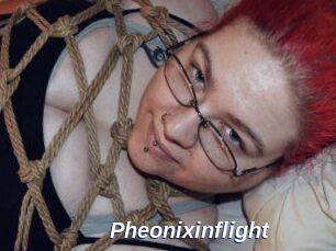 Pheonixinflight