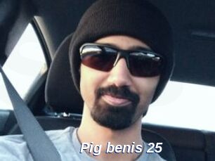 Pig_benis_25