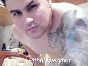 pitbullyveryhot Safer Sex