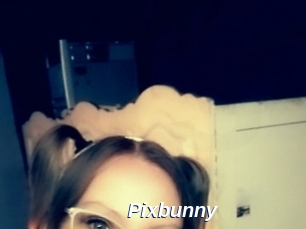 Pixbunny
