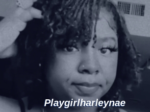 Playgirlharleynae