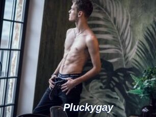 Pluckygay