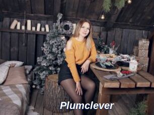 Plumclever