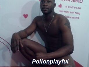 Pollonplayful