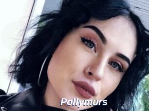 Pollymurs