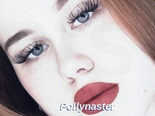 Pollynaster