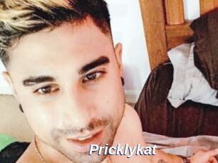 Pricklykat