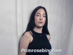 Primrosebingham
