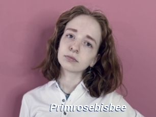 primrosebisbee Safer Sex