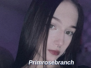 Primrosebranch