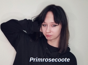 Primrosecoote