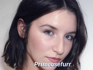 Primrosefurr