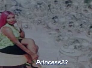 Princess23