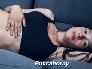 Puccahorny