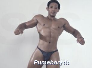 Pumebonyfit