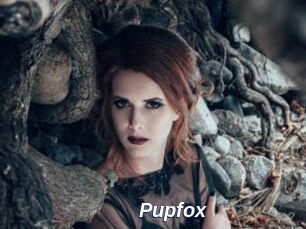 Pupfox