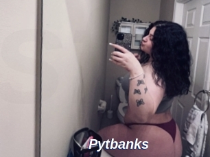 Pytbanks