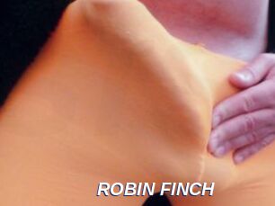ROBIN_FINCH