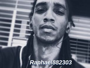 Raphael882303