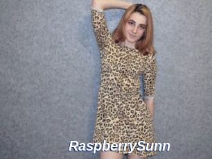 RaspberrySunn