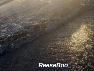 ReeseBoo