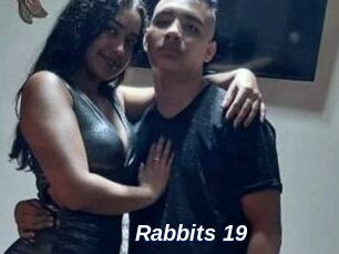 Rabbits_19