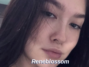 Reneblossom