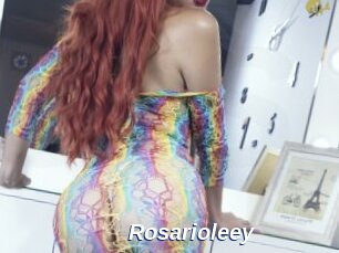 Rosarioleey