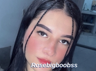 Rosebigboobss