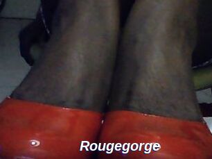 Rougegorge
