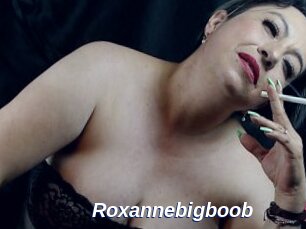 Roxannebigboob