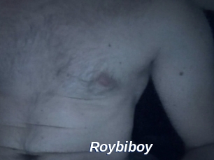 Roybiboy