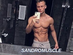 SANDRO_MUSCLE