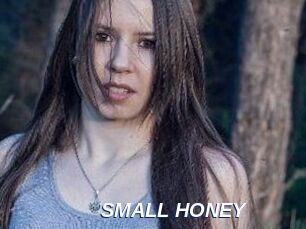 SMALL_HONEY
