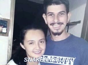 SNAKEANDBUNNY