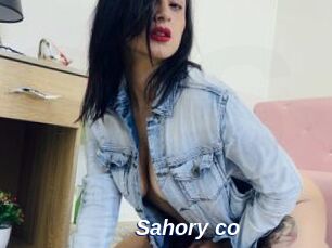 Sahory_co