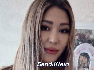 SandiKlein