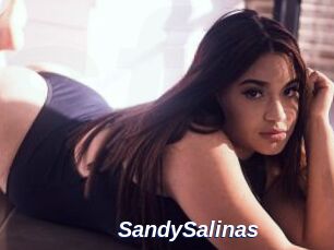 SandySalinas