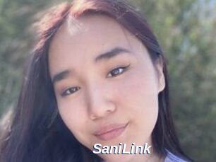 SaniLink