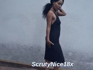 ScrutyNice18x