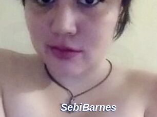 Sebi_Barnes