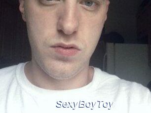 SexyBoyToy