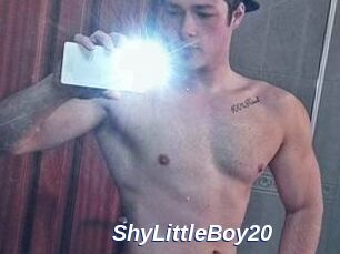 ShyLittleBoy20
