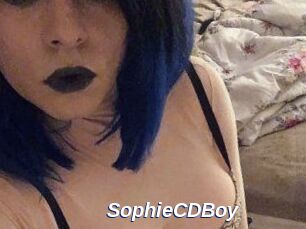 SophieCDBoy