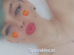 Sprinklecat
